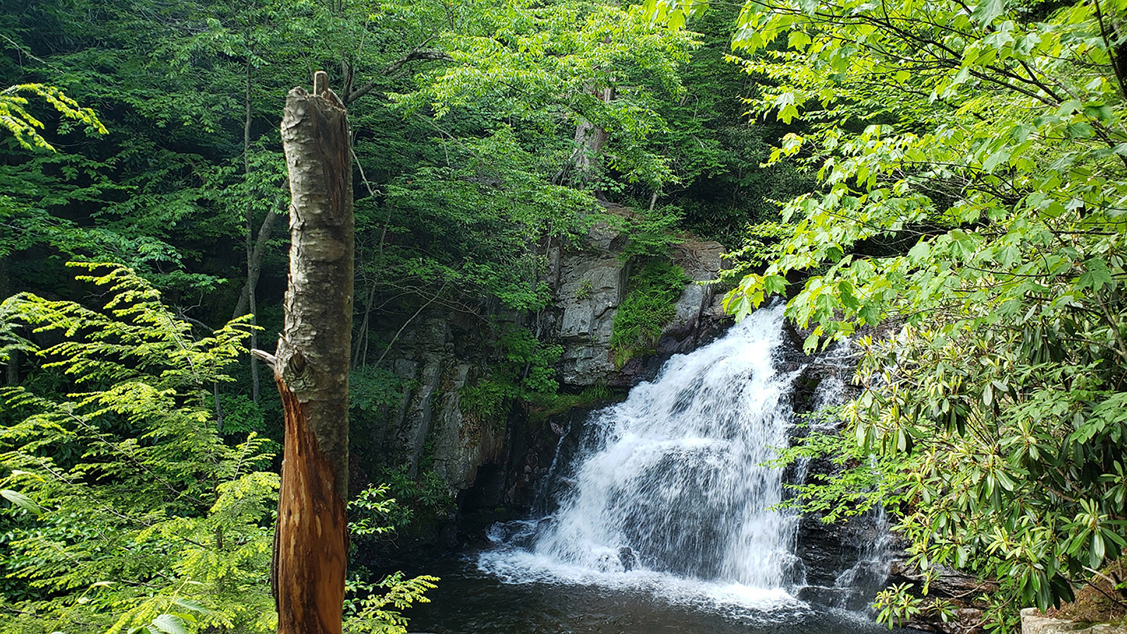 VA Falls Here waterfall guide image